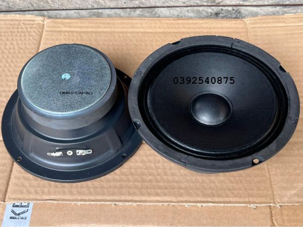 LOA TRUNG 16 tu 100 gân giay